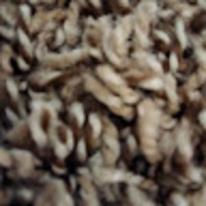 Meet your Posher, Fabii